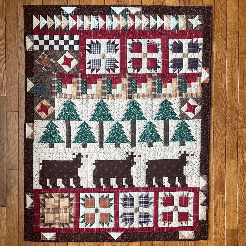 Handmade Quilted Patchwork Rustic Wall Art Baby Quilt Bear Paw Log Cabin Decor